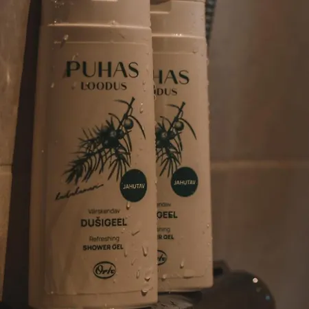 Merineitsi Peamaja Saunaga Kahele *